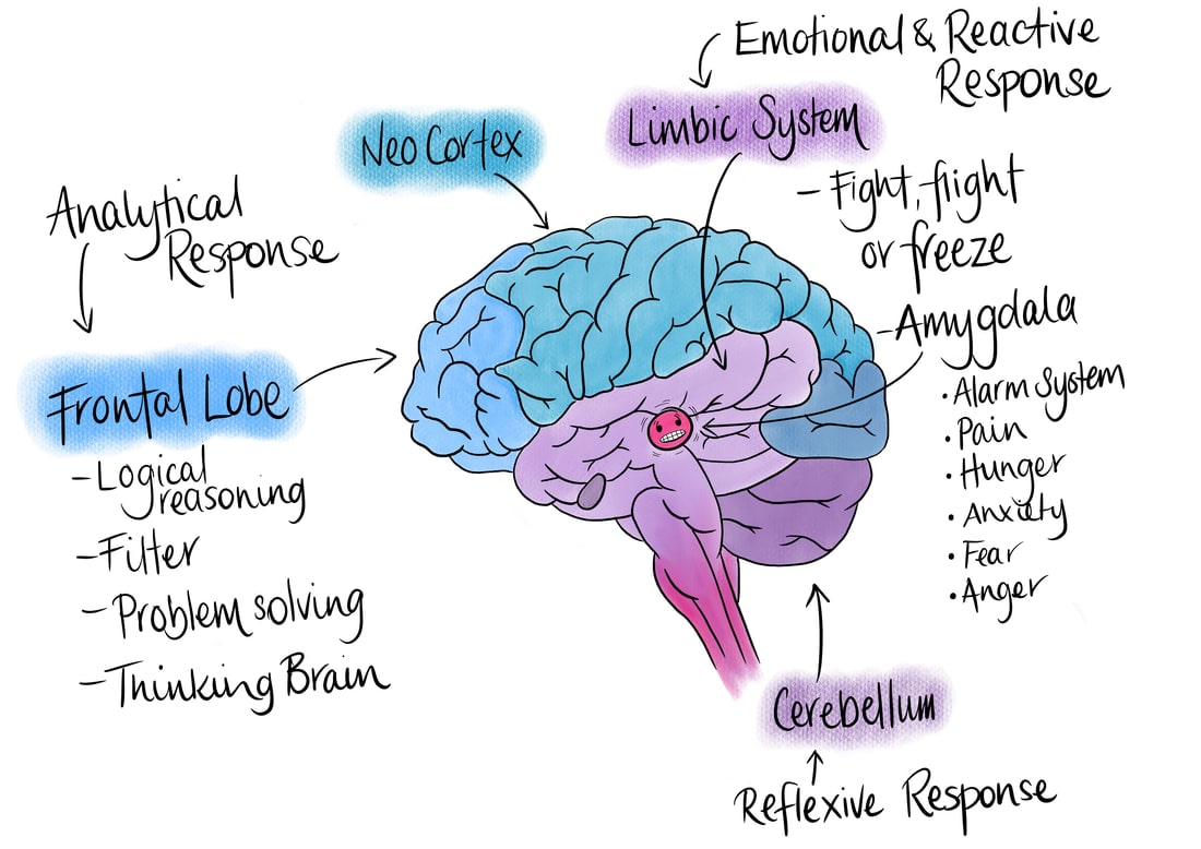 طرح واره چیست
